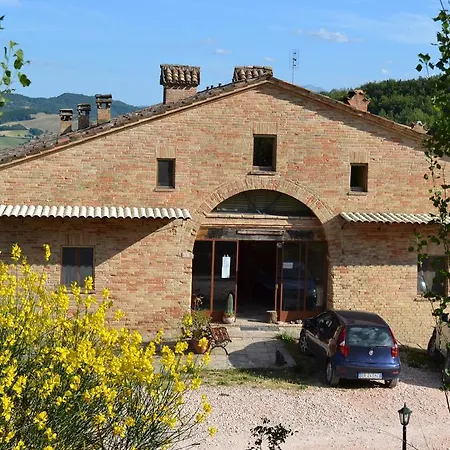 Ginestra *